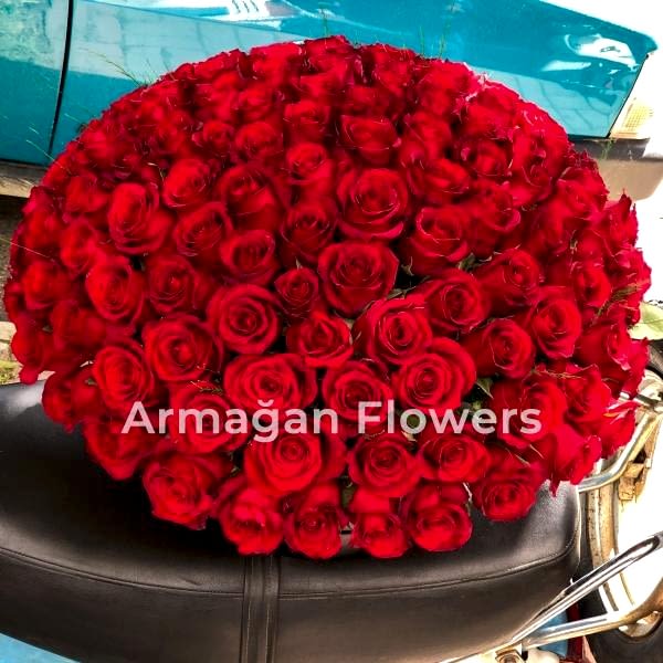  Alanya online çiçek - 101 Kırmızı Gül Kutu İçinde 